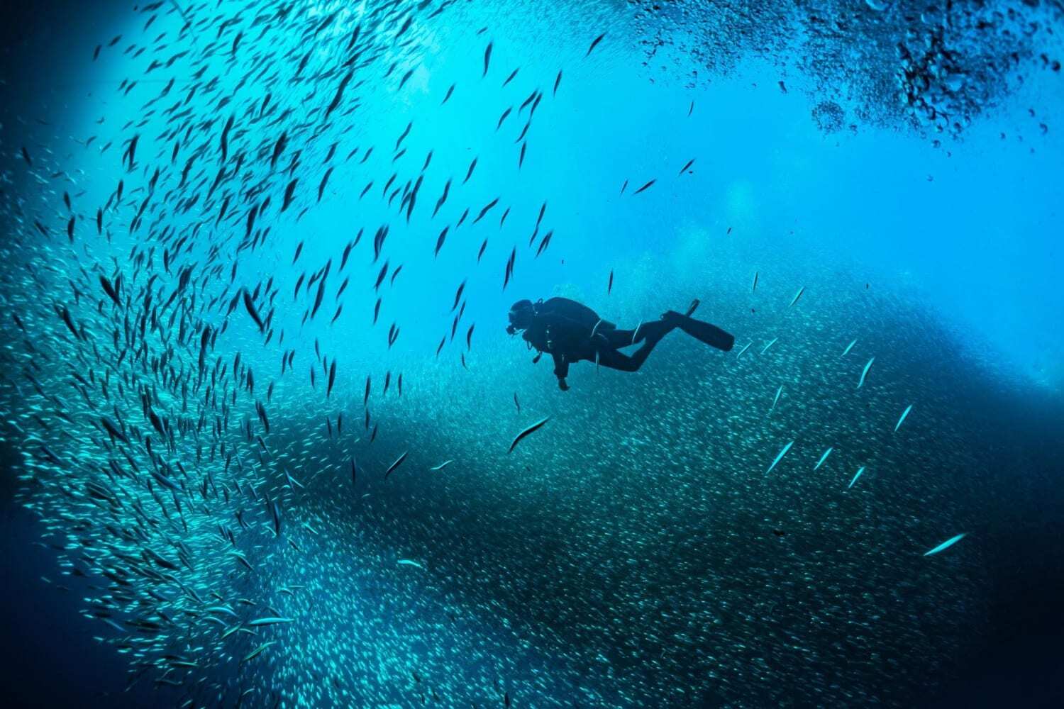 Travelling to the Best Diving Spots of the World