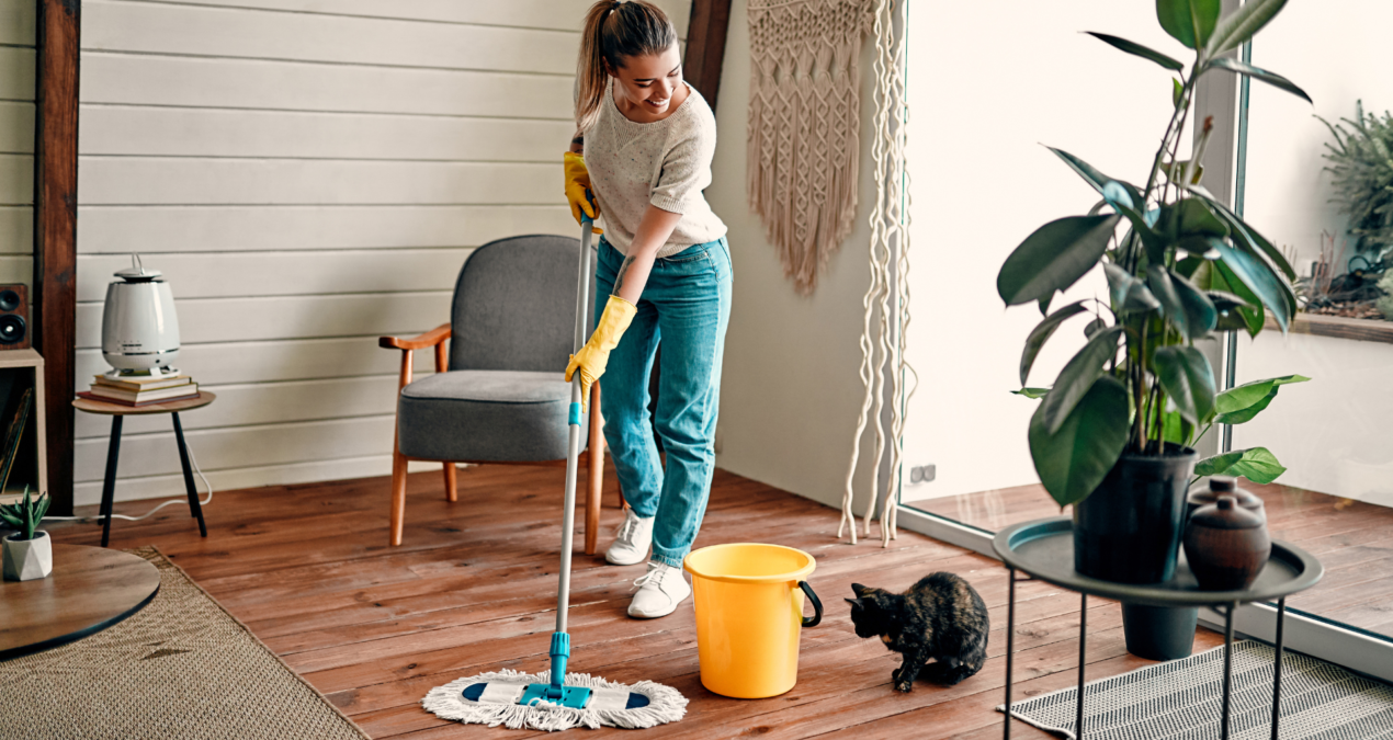 How To Clean Your House Like A Pro